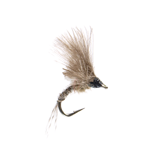 CDC Cripple BWO