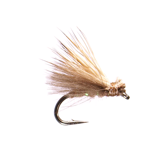 Preseason 2026 CDC Elk Hair Caddis - Tan