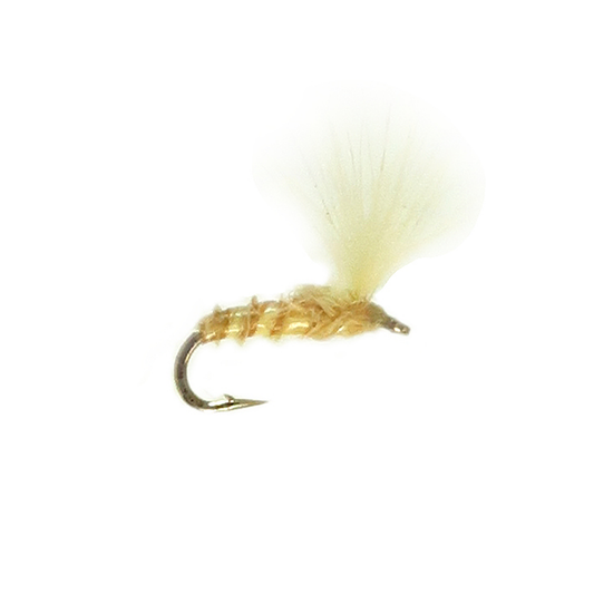 CDC Pseudo