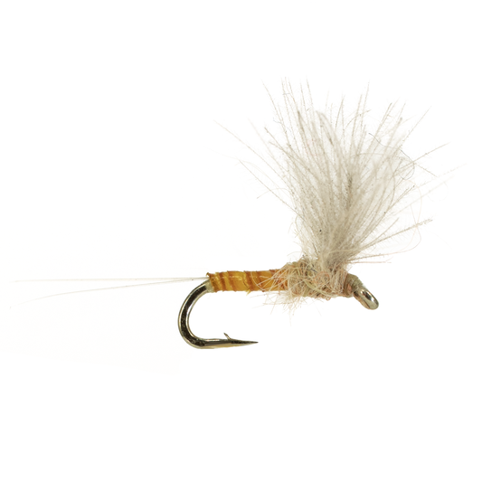 CDC Pseudo