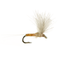 CDC Pseudo