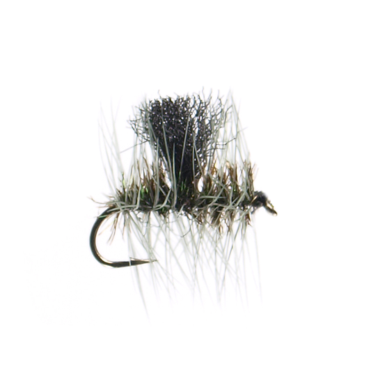 Dun Midge Cluster
