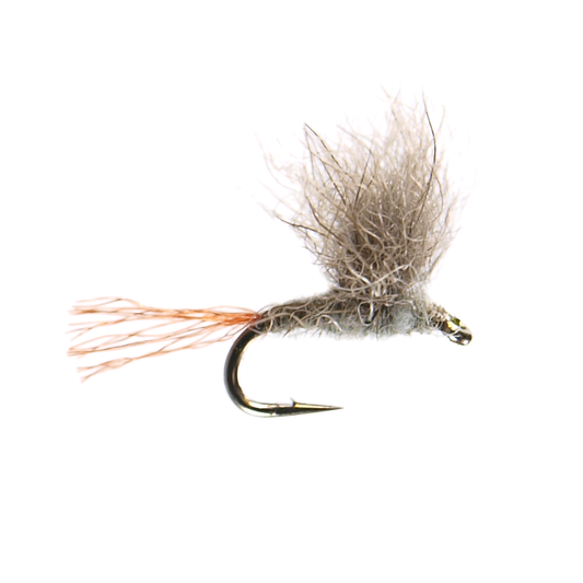 Snowshoe Baetis