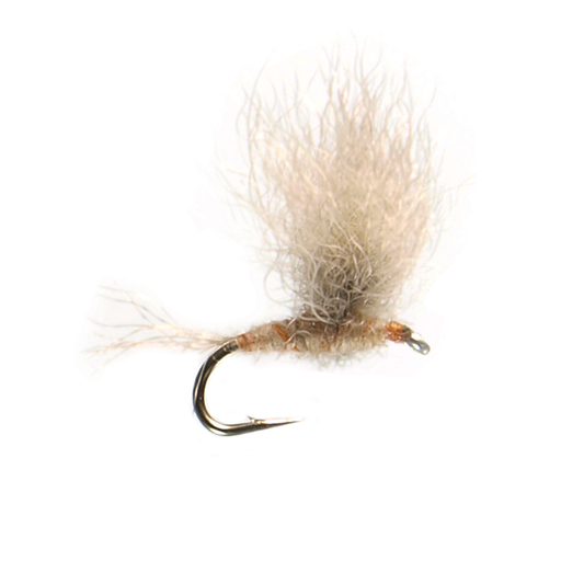 Snowshoe PMD - Orange