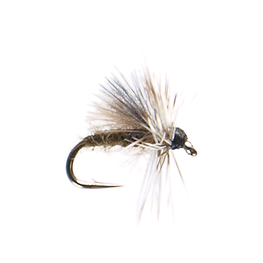 CDC Baetis Trude
