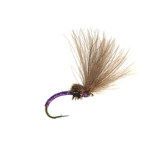 Smoke Jumper - Purple