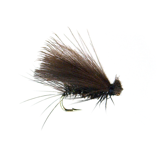 Dell's Point Caddis - Black