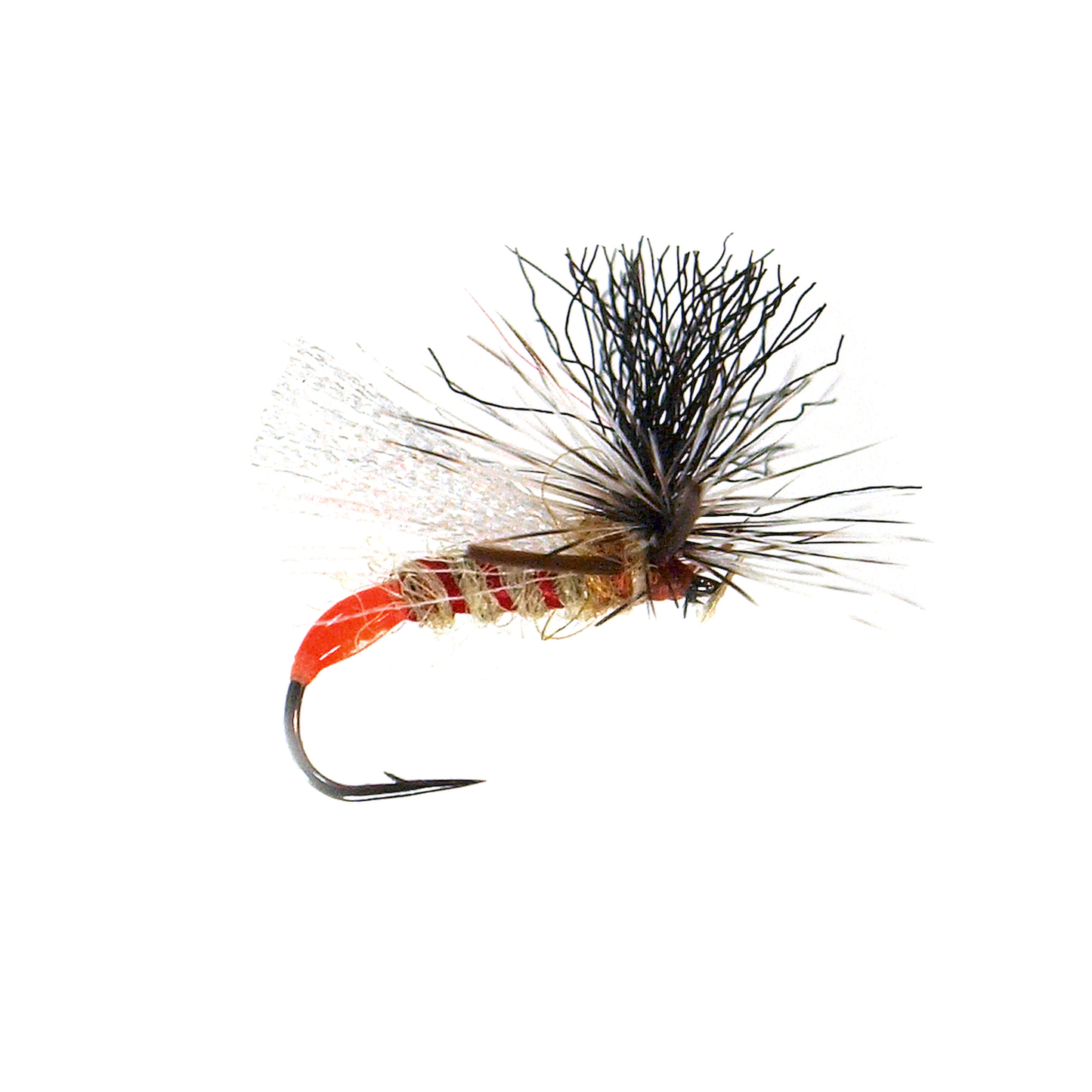 Doc's HV Sally