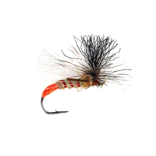 Doc's HV Sally