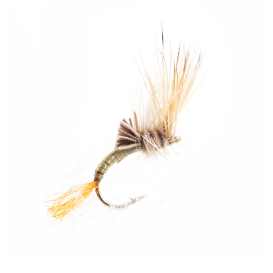 YFG's Rough Neck Emerger - Baetis
