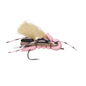 KB's OG Chubby - Pink