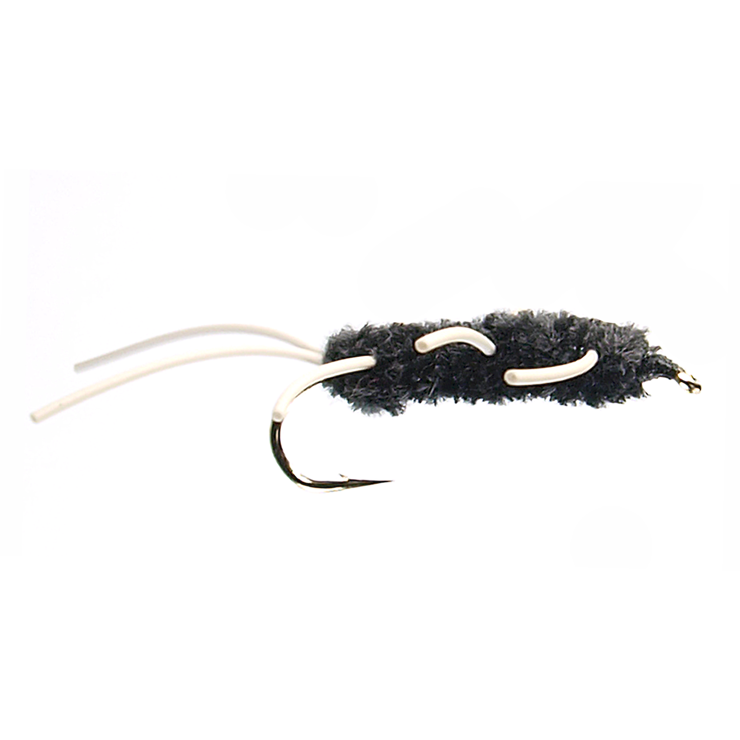 Black Girdle Bug
