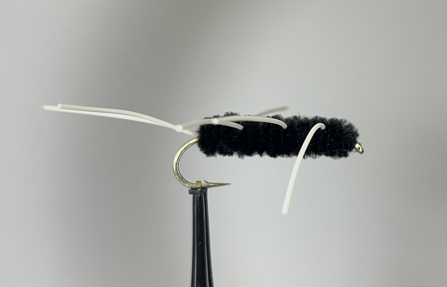 Black Girdle Bug