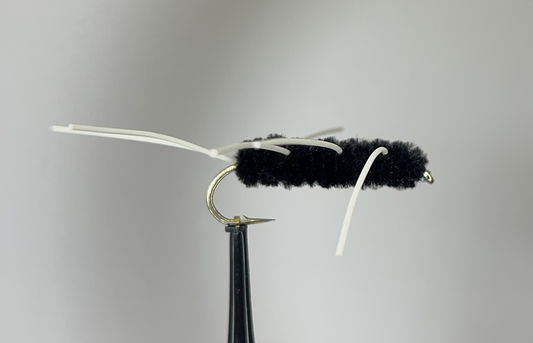 Black Girdle Bug