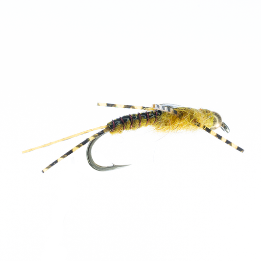 Preseason 2026 Humphrey's Stonefly