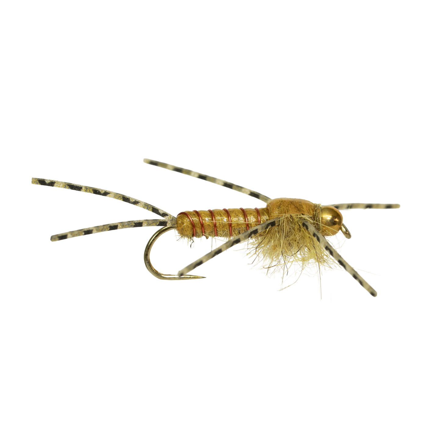 Humphrey's Stonefly - Golden