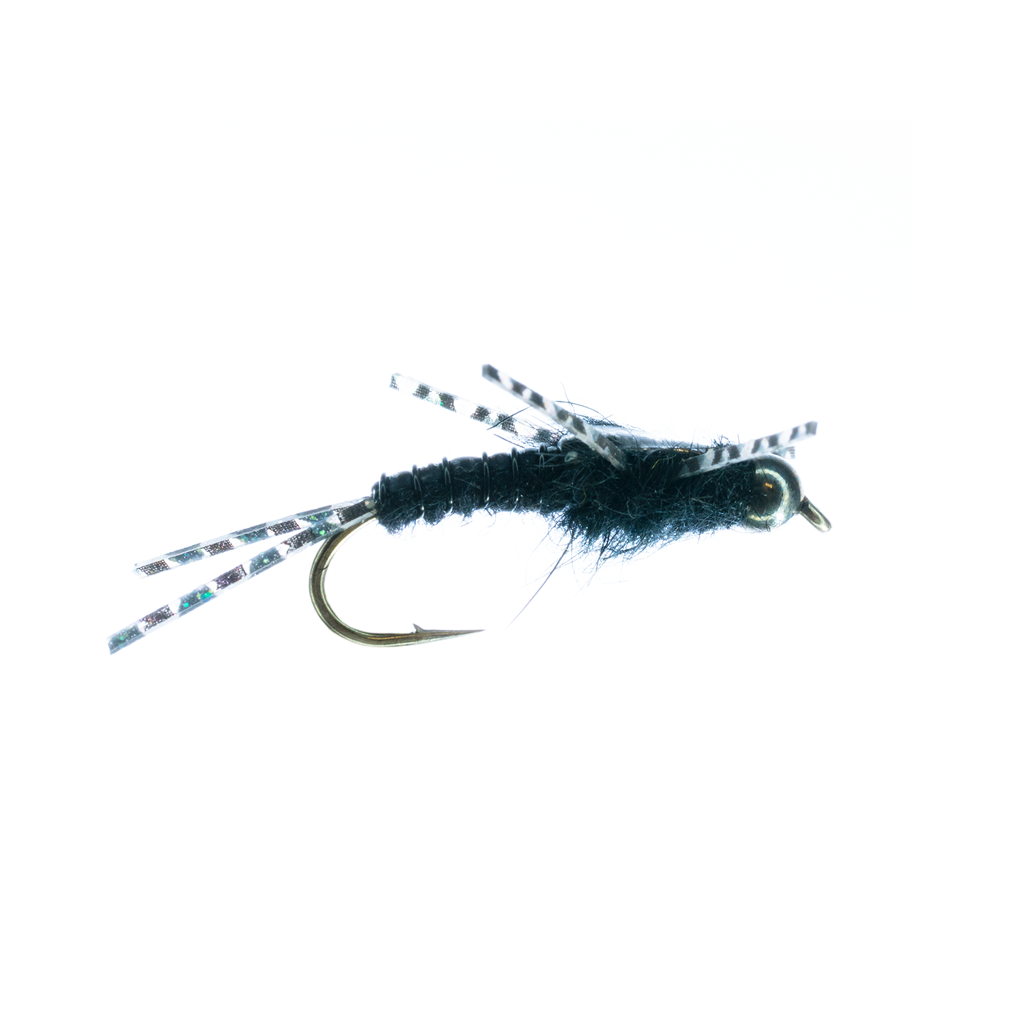 Humphrey's Stonefly