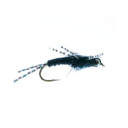 Humphrey's Stonefly