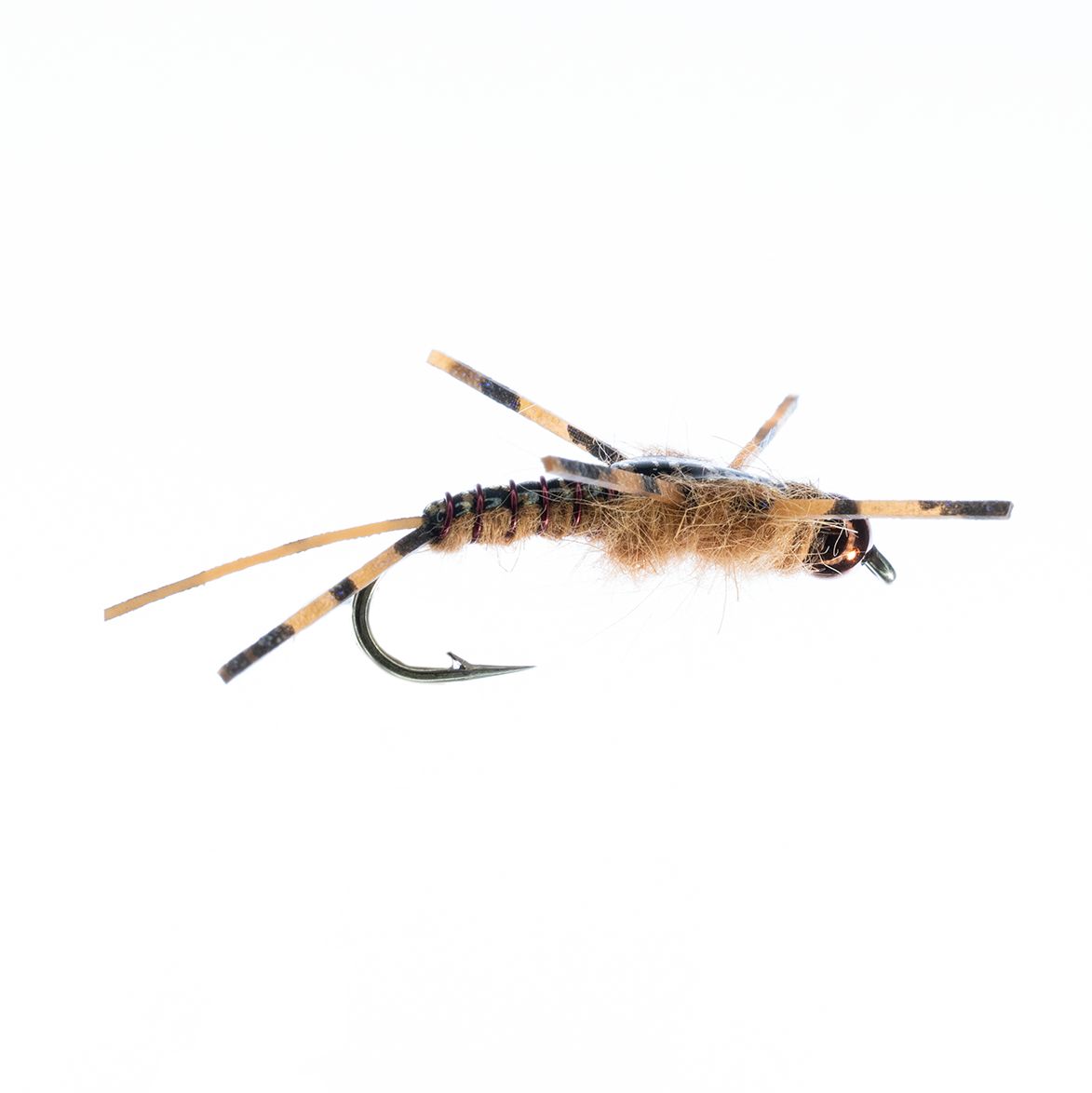 Humphrey's Stonefly