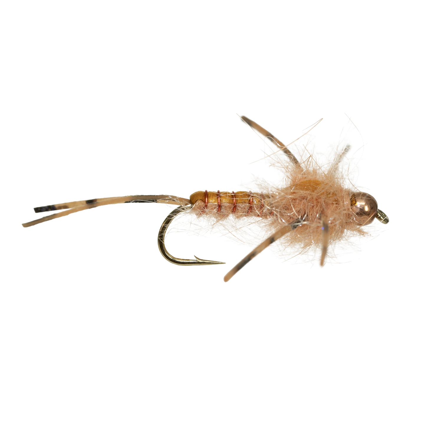 Humphrey's Stonefly - Amber