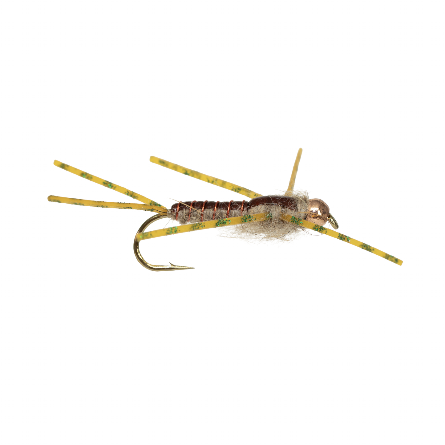 Humphrey's Stonefly - Natural