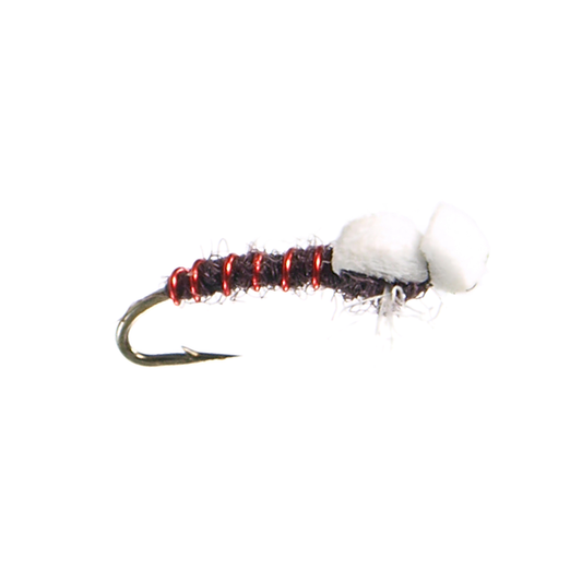 Black Bow Tie Nymph