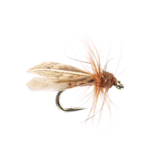 Preseason 2026 Ultra Caddis