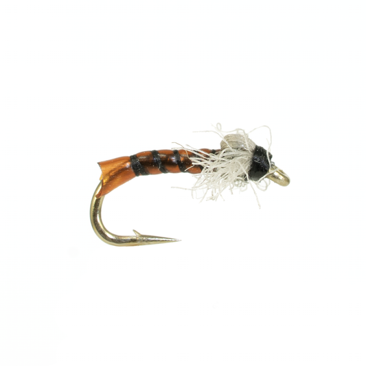 Rootbeer Midge