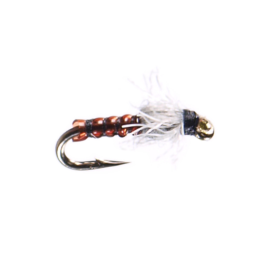 Preseason 2026 Rootbeer Midge