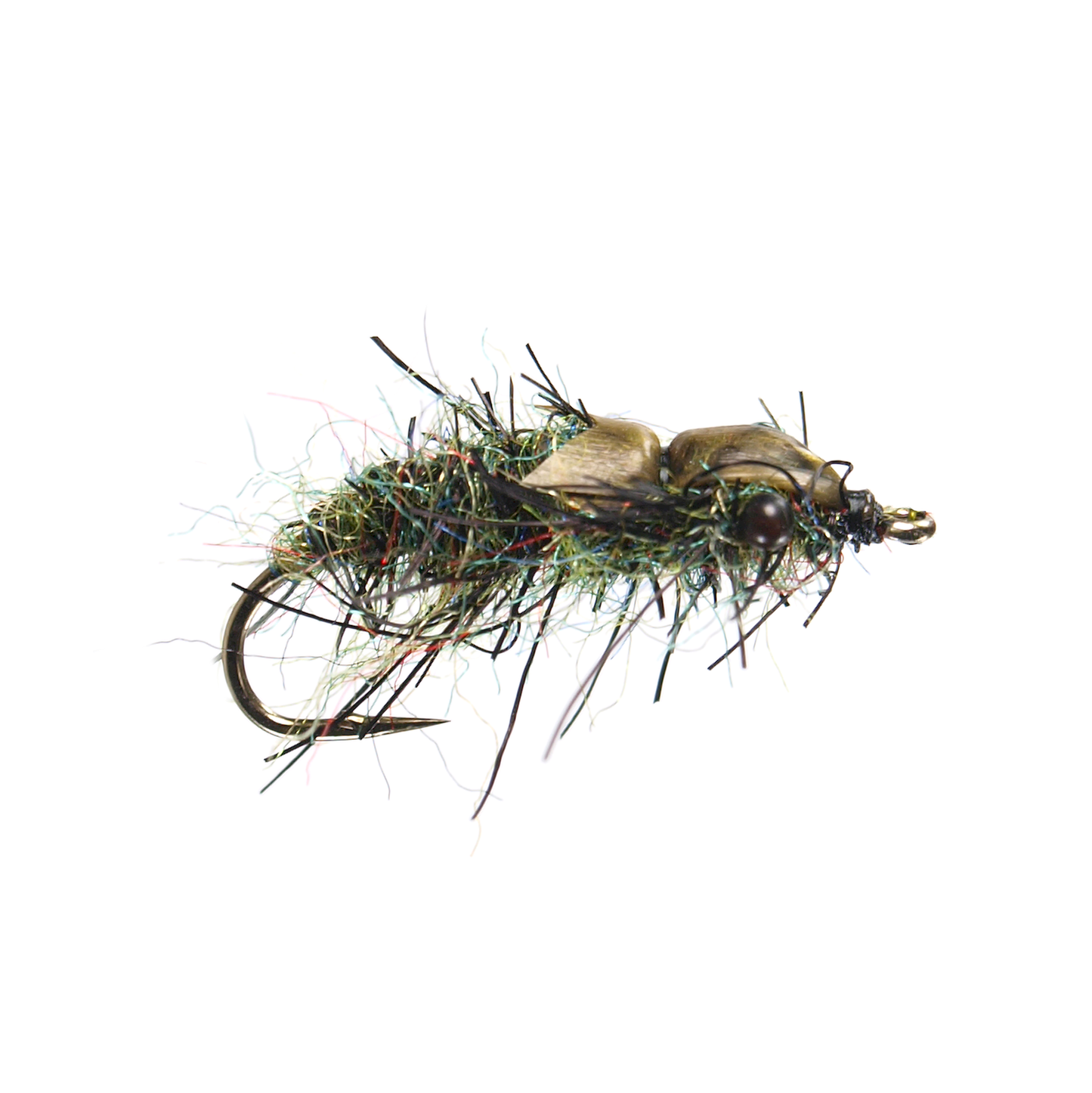Dragon Fly Nymph