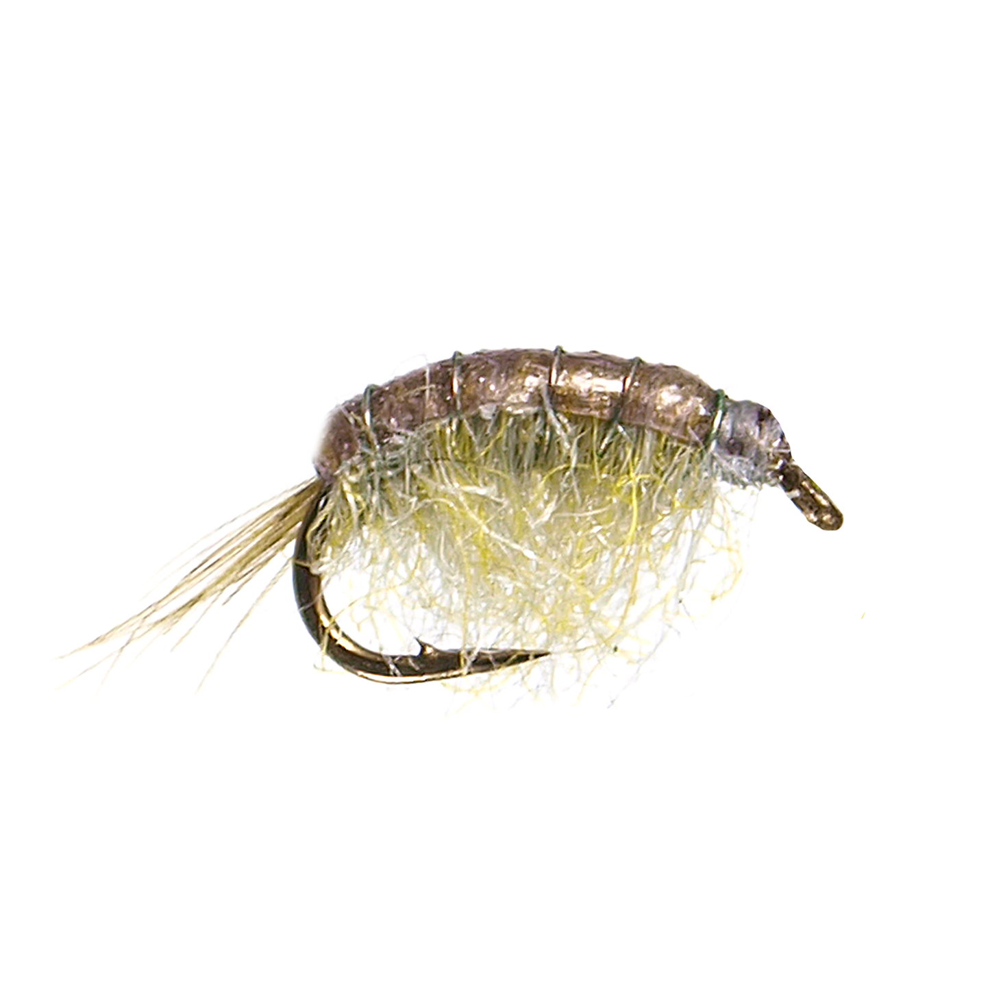 Olive Scud