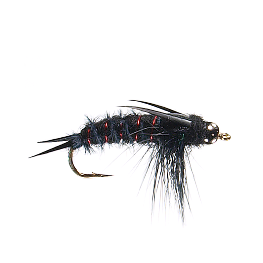 Preseason 2026 Beadhead Hellgramite