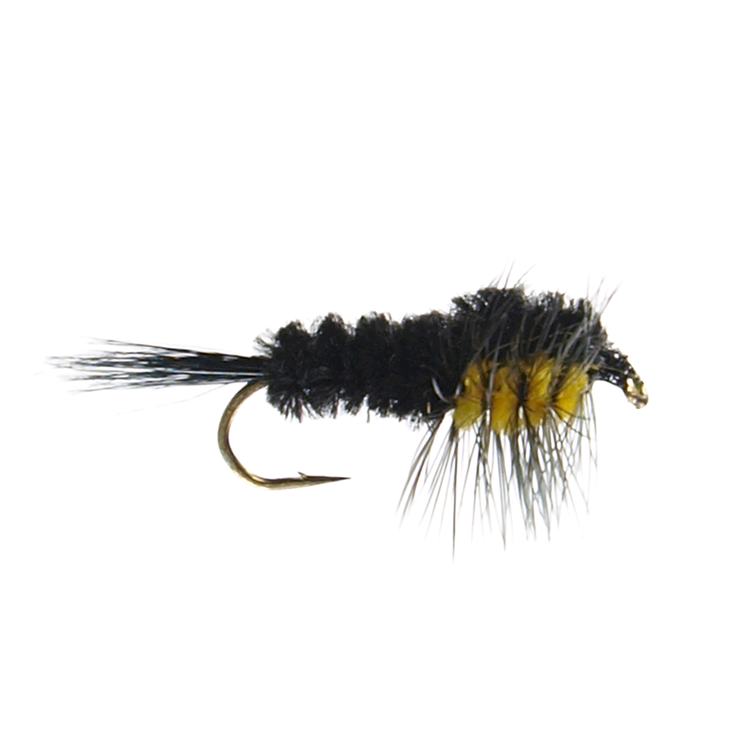 Montana Nymph