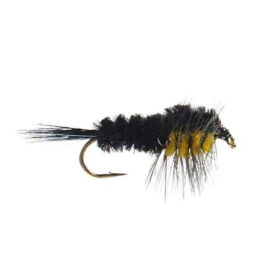 Montana Nymph