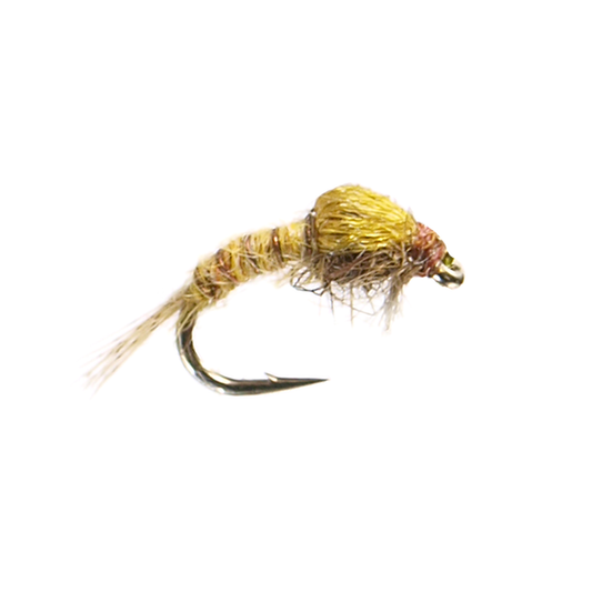 PMD Nymph