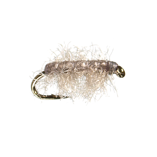 Natural Sowbug