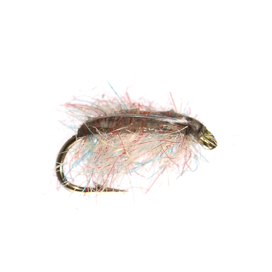 Poxyback Sowbug