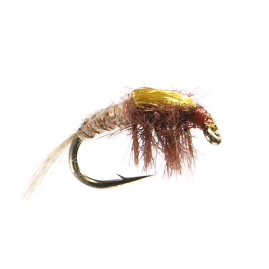 Bighorn PMD