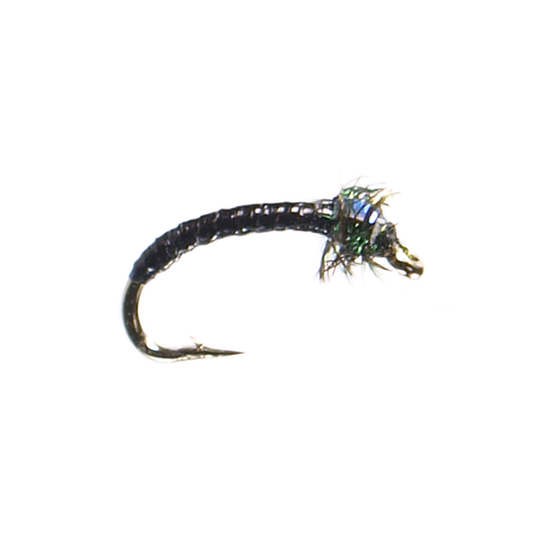 Black Midge Pupa