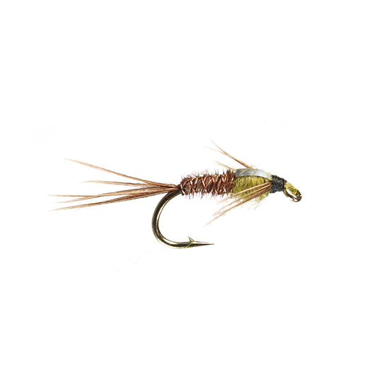 Static Nymph
