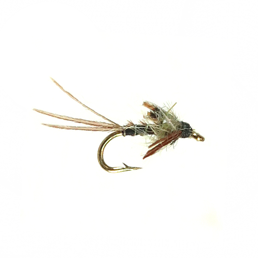 Pheasant Tail - Silver Back