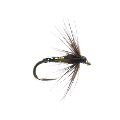 Soft Hackle Caddis