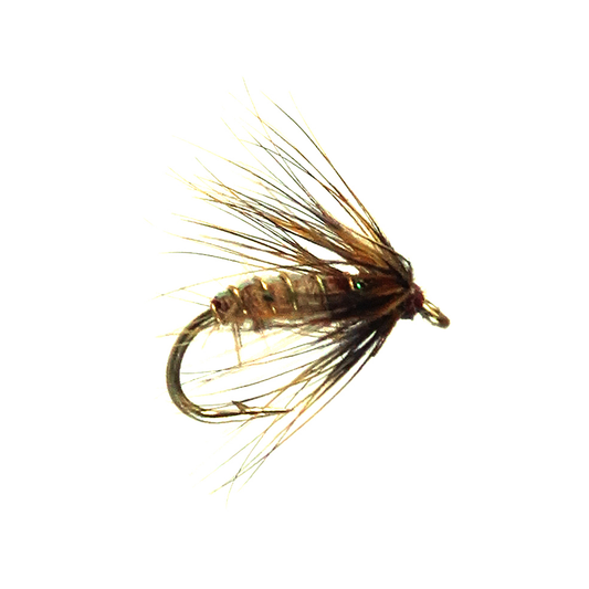 Preseason 2026 Soft Hackle Caddis