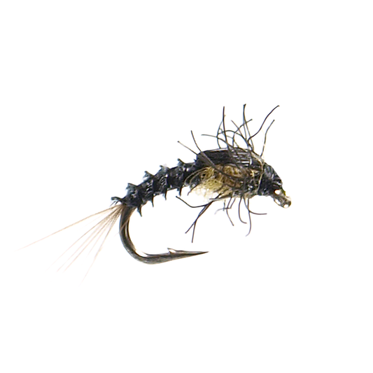 Preseason 2026 Bighorn Baetis Nymph