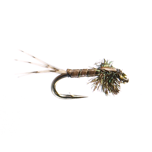 Preseason 2026 Quill Nymph