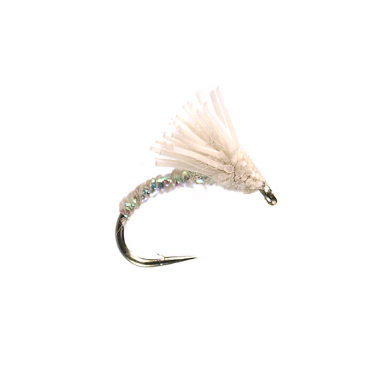 Preseason 2026 Serendipity