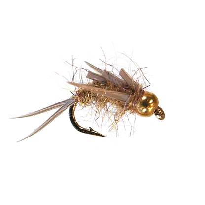 North Fork Special (Tungsten)