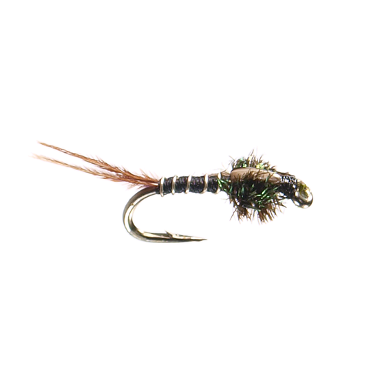 Quill Nymph - Black