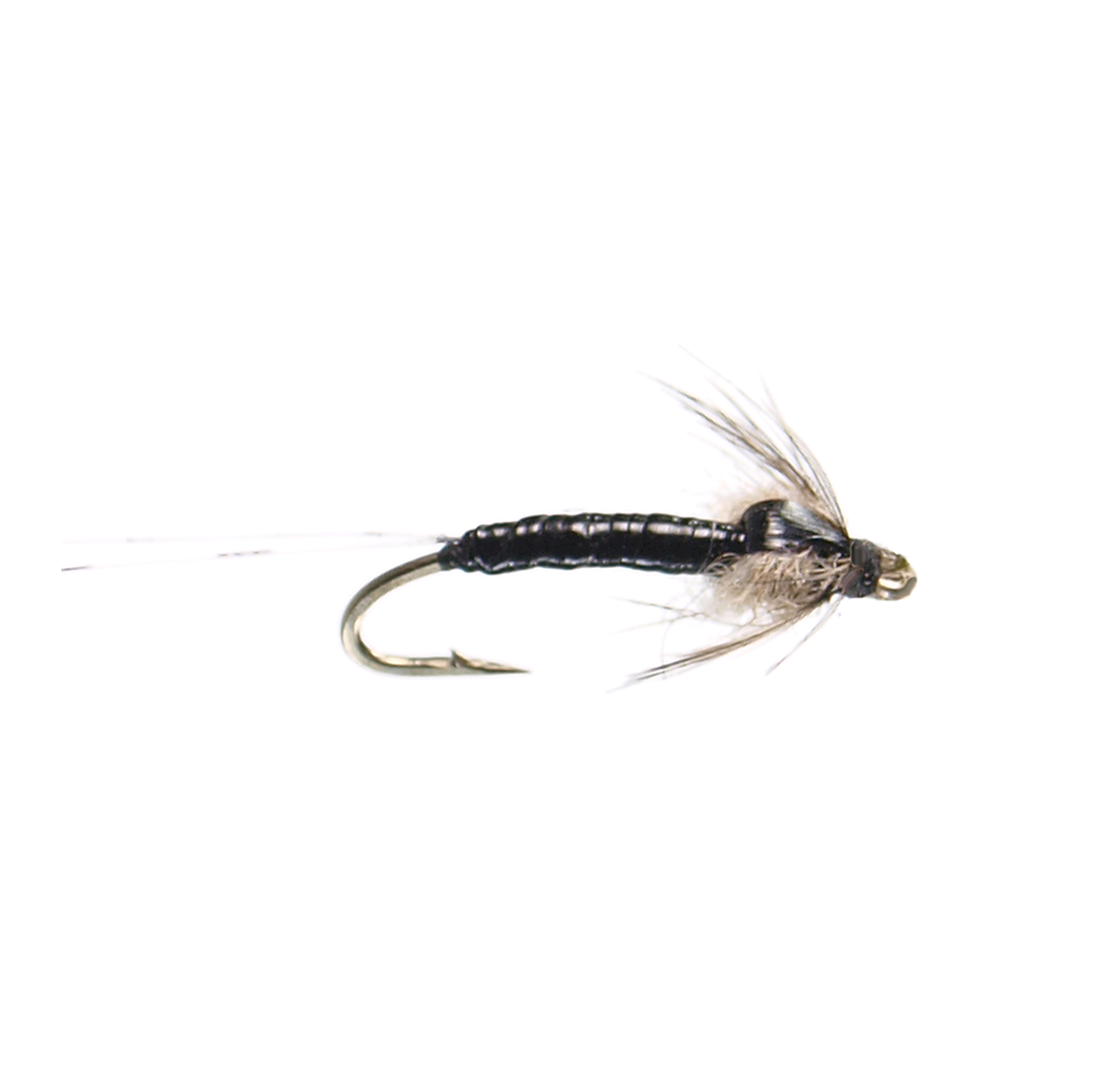 Micro May