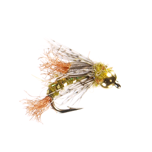 Preseason 2026 Beadhead Partridge Caddis
